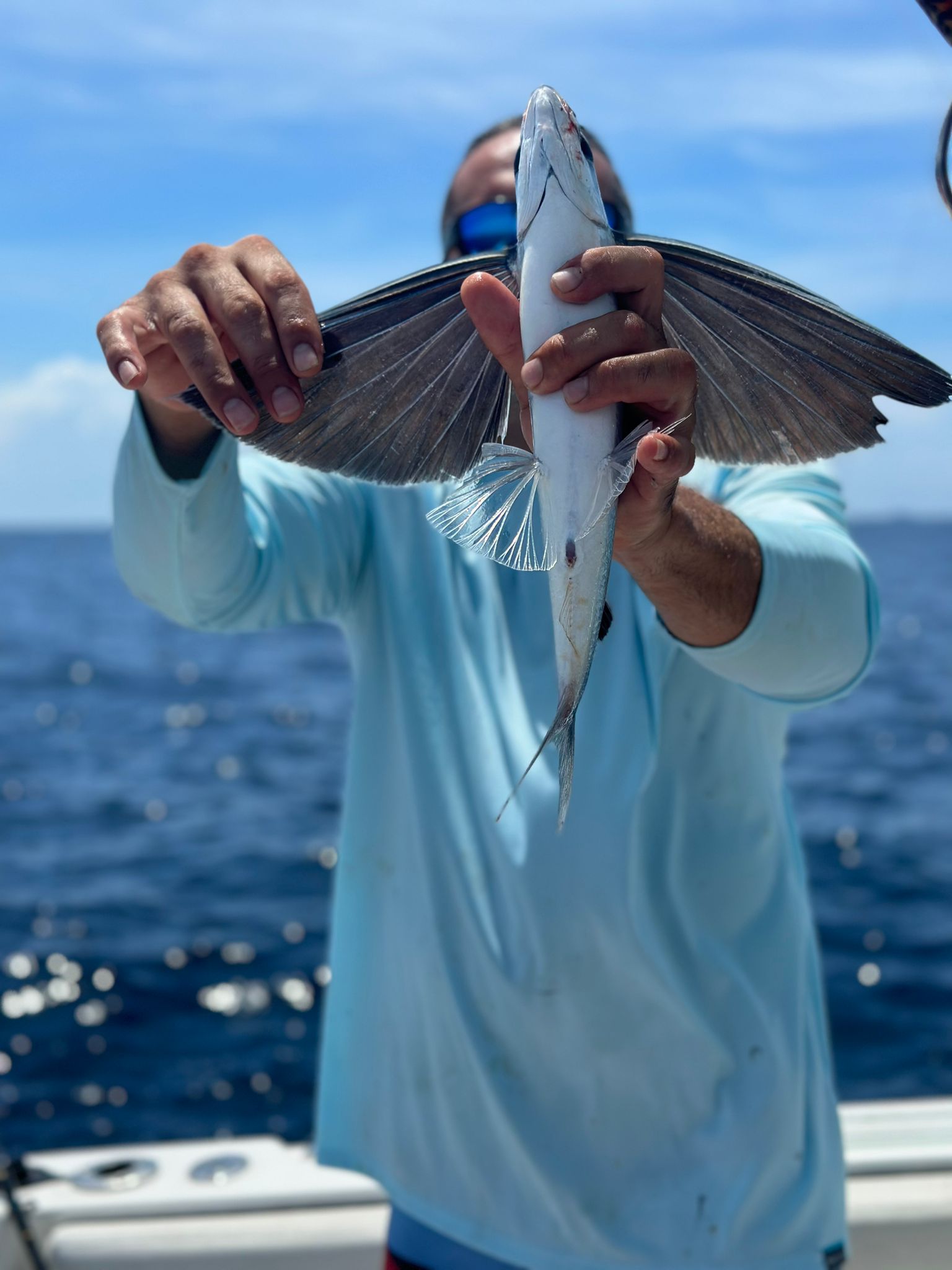 Deep Sea Fishing Cape Canaveral